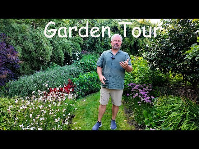 Learn about chicken road spel